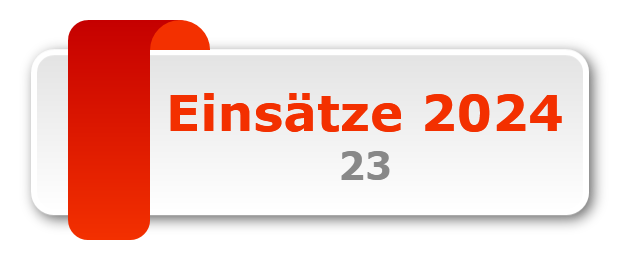 Einsätze 2024